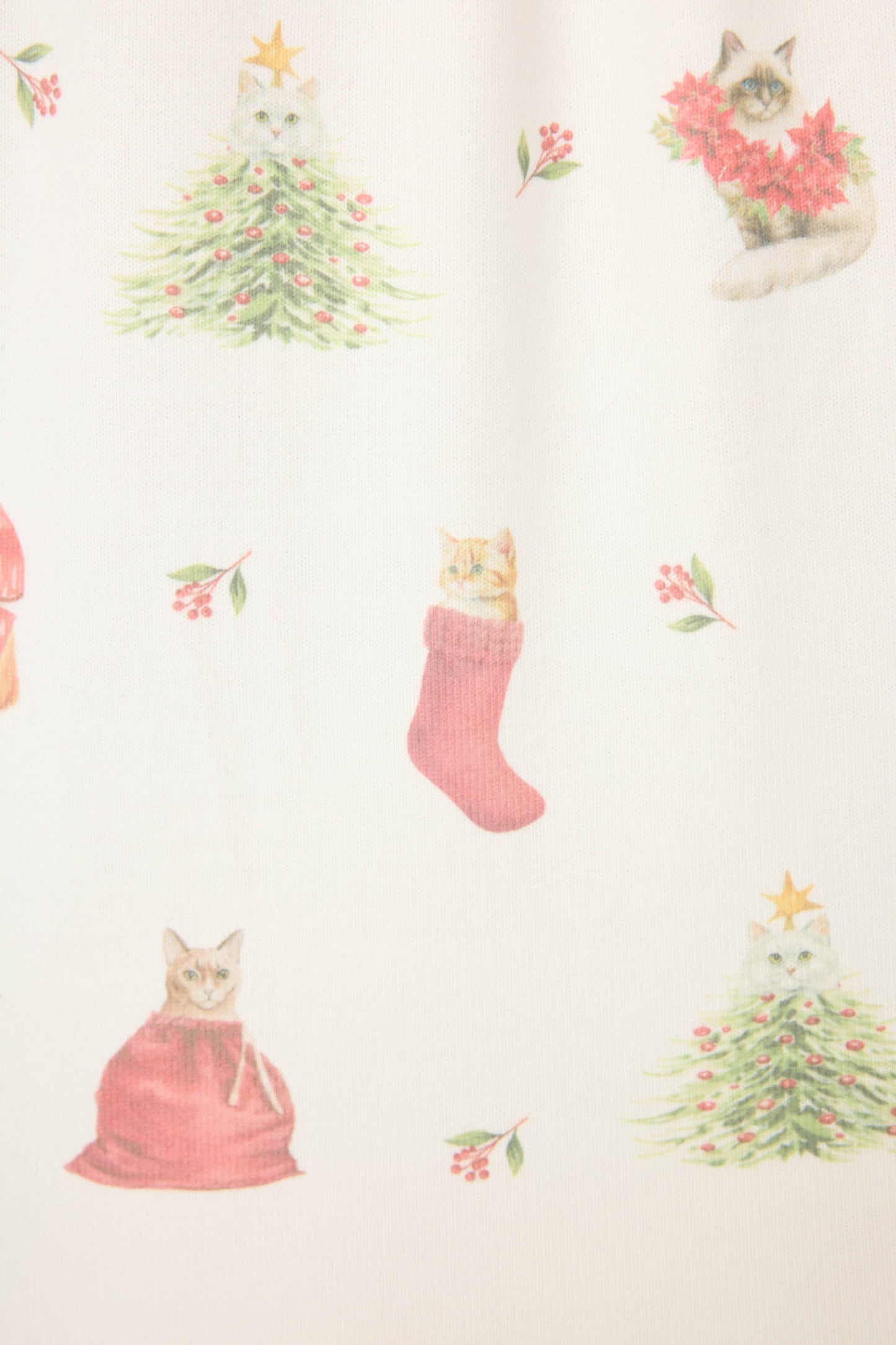 Feline Festive Cat Print PJ Set