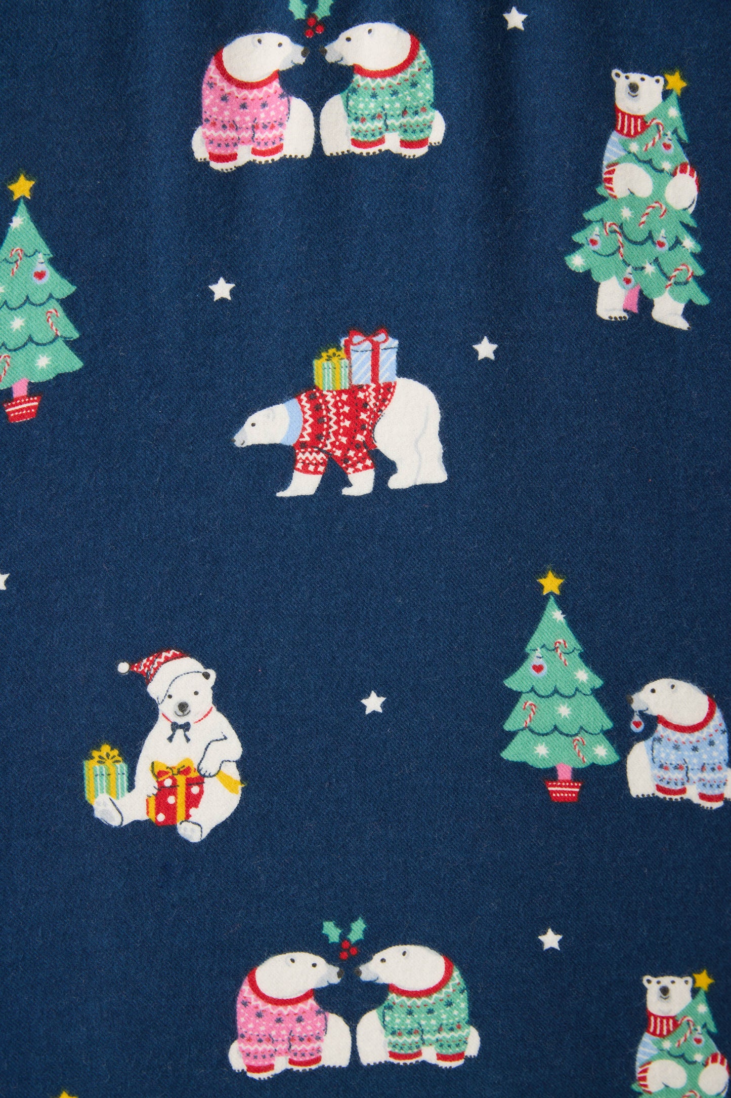 Bearly Awake 3-Piece Fam Plus Size Flannel PJ Set