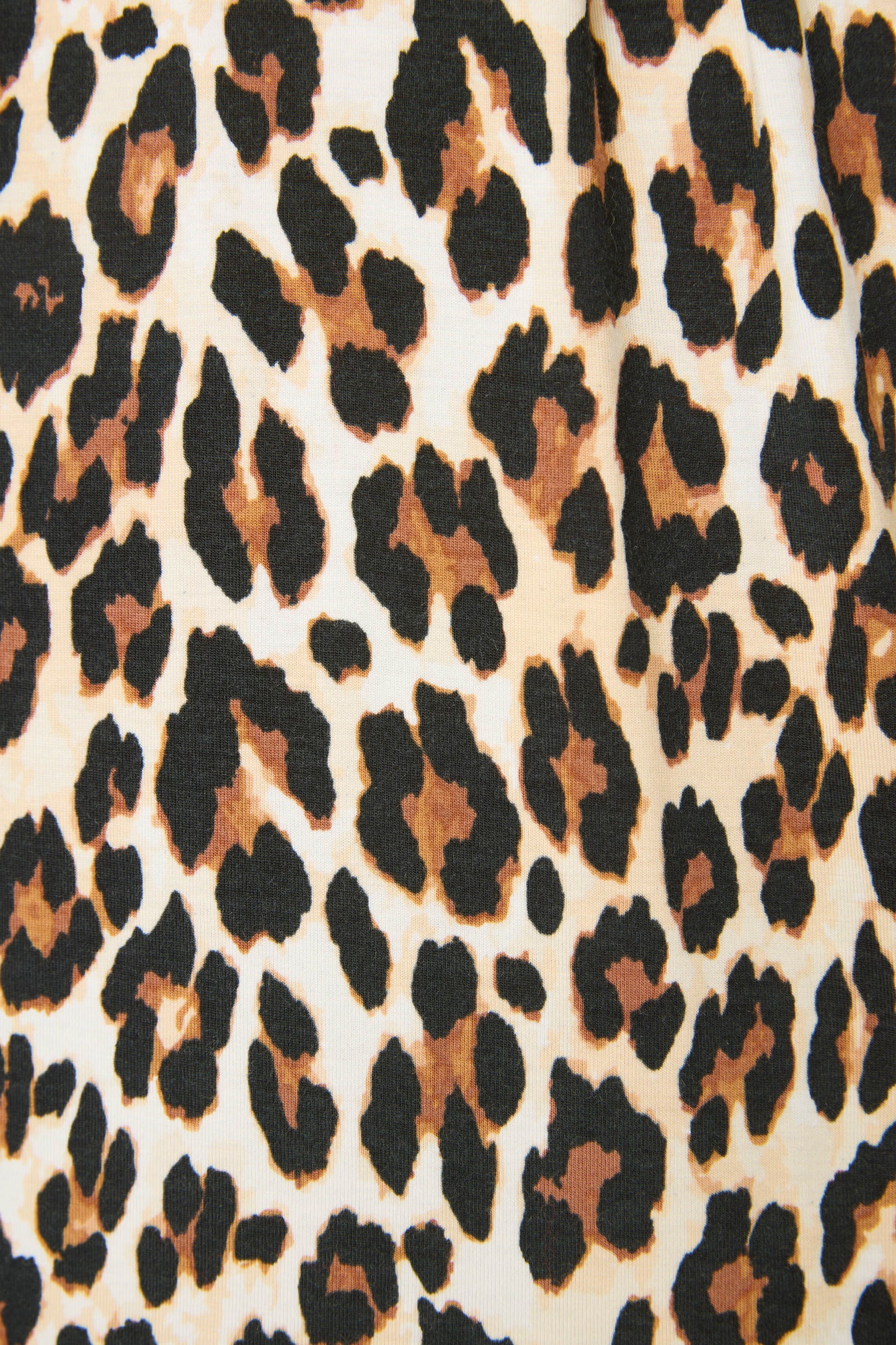 Holiday Dreams Leopard Print Pants Set