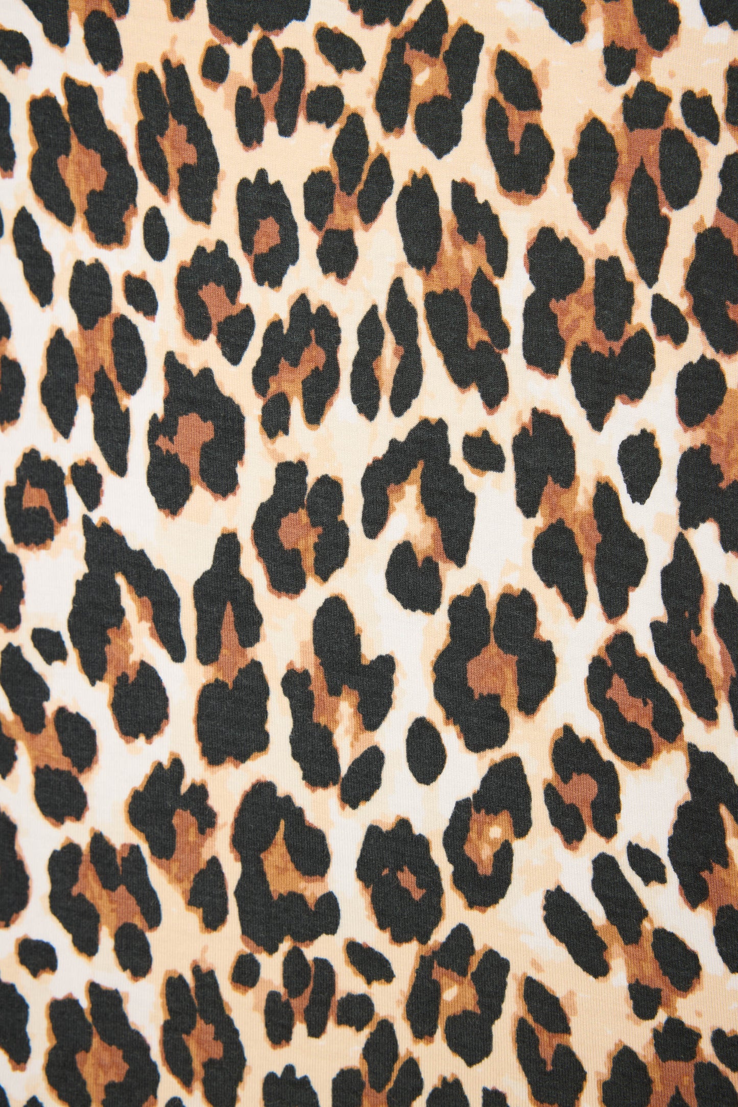 Holiday Dreams Leopard Print Shorts Set